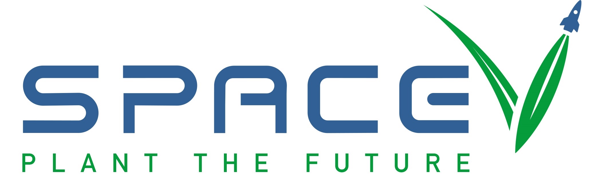 Logo SpaceV
